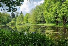 Von Gimborn Arboretum景点图片