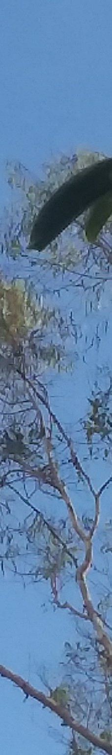 Finca Cantaros-圣维托