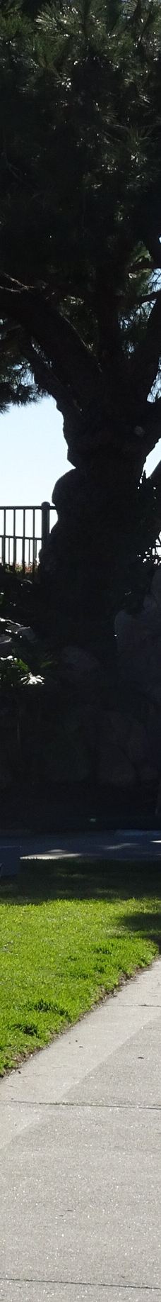 Doris Walker Overlook-达纳点