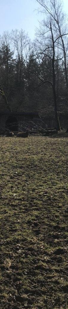 Tiergehege Waldhaus-莫尔斯多夫-泰希沃尔夫拉姆斯多夫