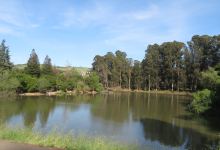 Don Castro Regional Recreation Area景点图片