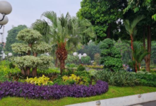 Surya Park景点图片