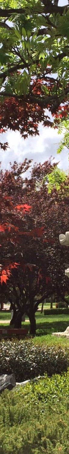 Lennox Gardens-亚拉伦拉