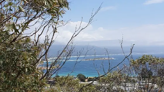 Lookout Rock State Reserve