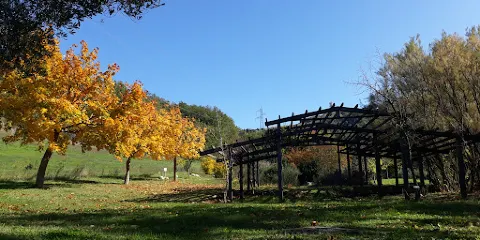 Orto Botanico Selva di Gallignano