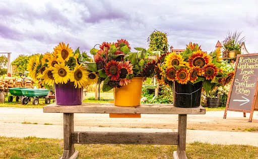 Manfredi Farms