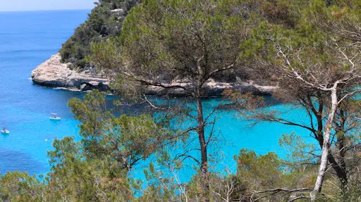 Cova des Coloms