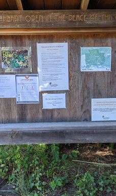 Grove of Old Trees-奥西丹透