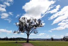 Myall Creek Memorial Site景点图片