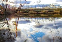 Turkey Run Lake Wildlife Management Area景点图片