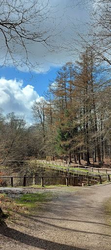 Wildgehege Marienhölzung-弗伦斯堡