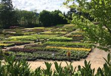 Richardson Nursery购物图片
