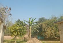 Shiv Mandir Sonaudha Tarai景点图片