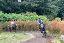 Harelaw Equestrian Centre景点图片