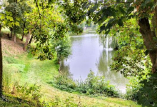 Parc du Cam景点图片