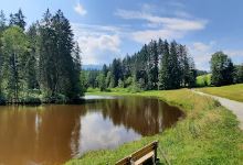 Vogelsbergerweiher景点图片