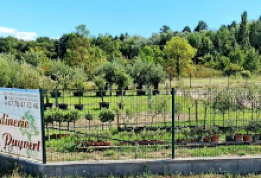 Pépinière Madi jardinerie puyvert购物图片