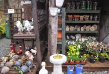 Skye Shrubs Garden Centre购物图片