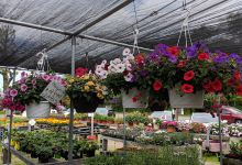 Warren's Bargains Galore购物图片