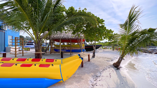 提马拉富士图片