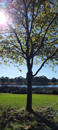 Lakes edge adventure playground-汉密尔顿