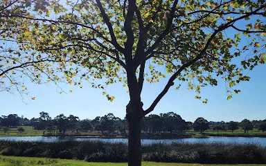 Lakes edge adventure playground