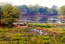 Laguna Piquetierra景点图片