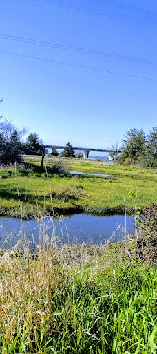 Siletz Bay National Wildlife Refuge-林肯县