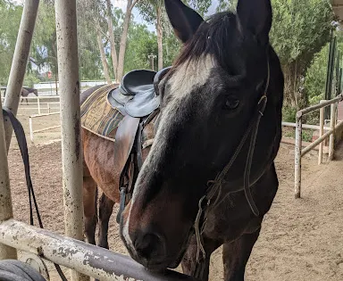MonteVerde Trails Ranch