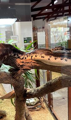 Bunbury Wildlife Park-South Bunbury