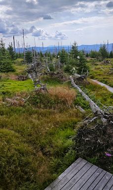 Poledník-普拉斯利