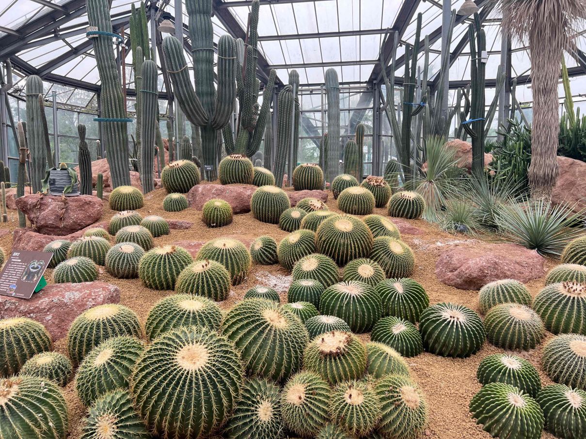 华南植物园景点图片 17