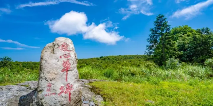 大明山-愛心草坪