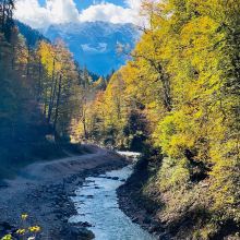 加尔米施-帕滕基兴图片