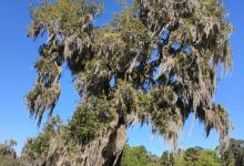 Fort Frederica National Monument景点图片