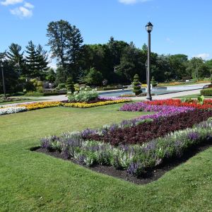 Windsor