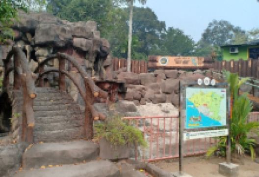 马六甲鳄鱼娱乐公园景点图片