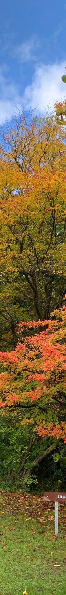 Geografisk Have-科灵