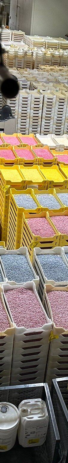 Jelly Belly Factory Tour-费尔菲尔德