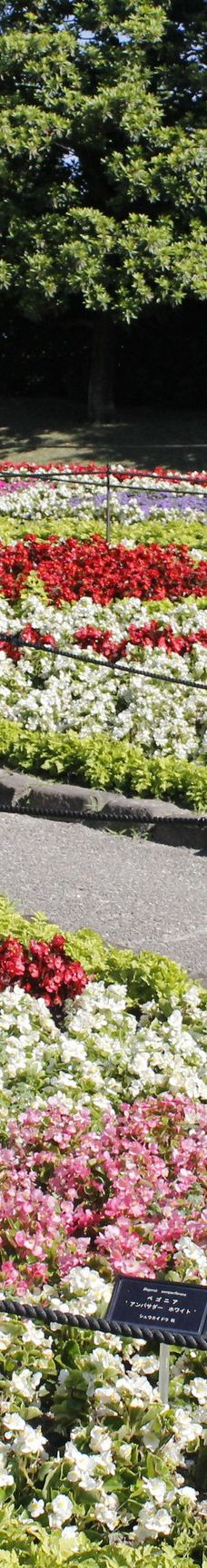 安城产业文化公园-安城市