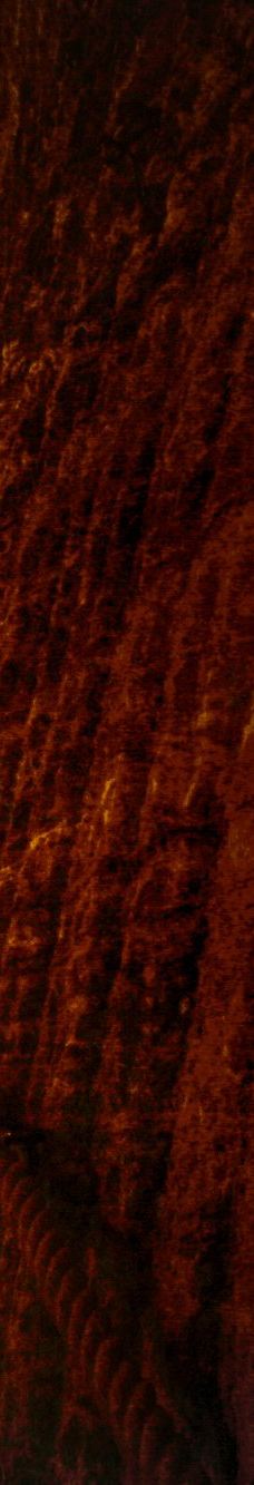 Terra Vinea-波尔泰代科尔比埃