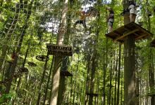 Naherholungsgebiet Tannenbühl景点图片