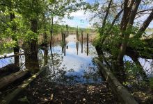 Wood Lake Nature Center景点图片