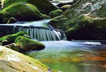 Enders Falls景点图片