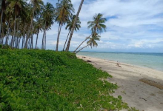 Pulau Ketawai景点图片