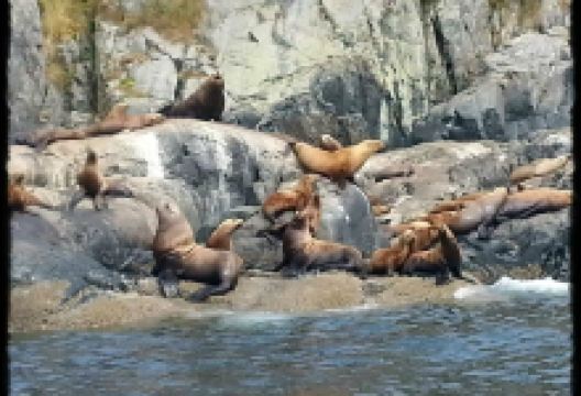 Sun Fun Divers购物图片