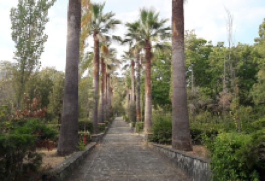 Il giardino botanico di Lamezia Terme景点图片