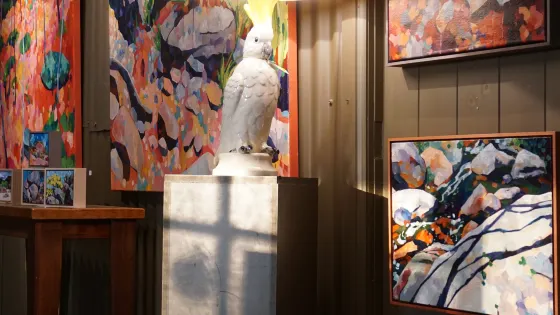Purple Noon Gallery