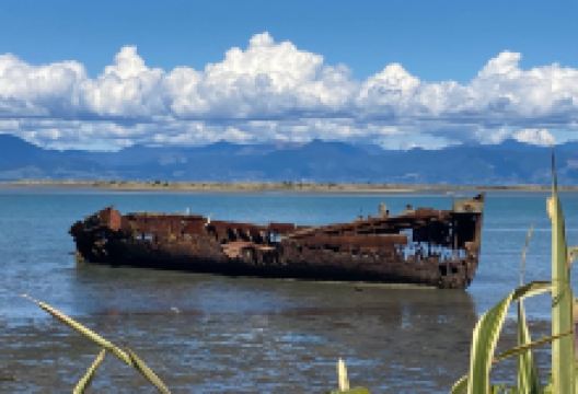 Wreck of the Janie Seddon景点图片
