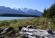 Chilkat State Park景点图片